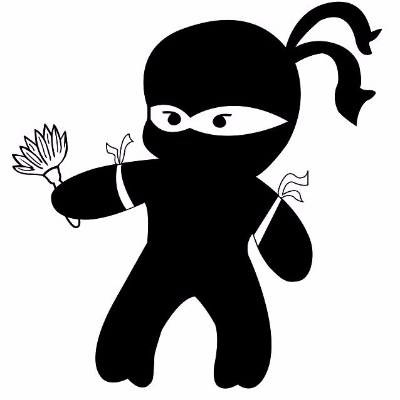 Cleaning Ninjas - Логотип