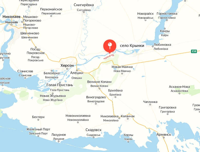 Село Крынки на карте Украины / Скриншот Яндекс Карты